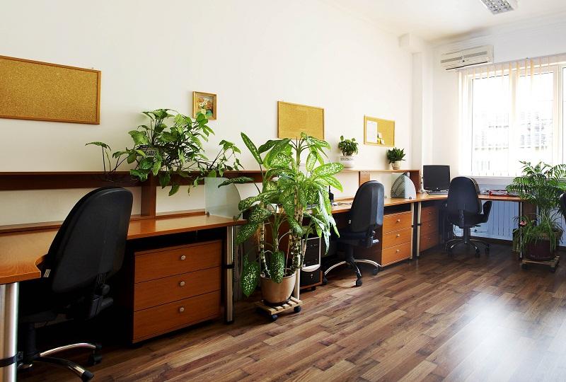 Продава 3-СТАЕН, гр. София, Център, снимка 4 - Апартаменти - 52956280