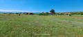 Продава ПАРЦЕЛ, с. Червена могила, област Перник, снимка 1