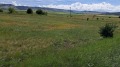 Продава ПАРЦЕЛ, област Перник, с. Червена могила • 135000 € / 264037.05 лв. • 36332466 11