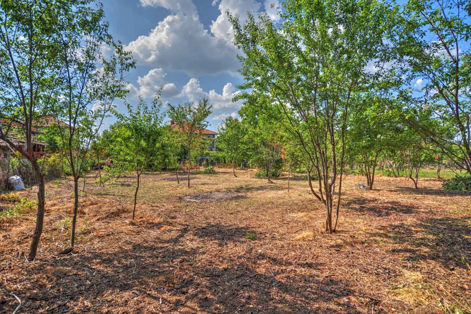 Продава ПАРЦЕЛ, гр. Борово, област Русе, снимка 6 - Парцели - 54168202