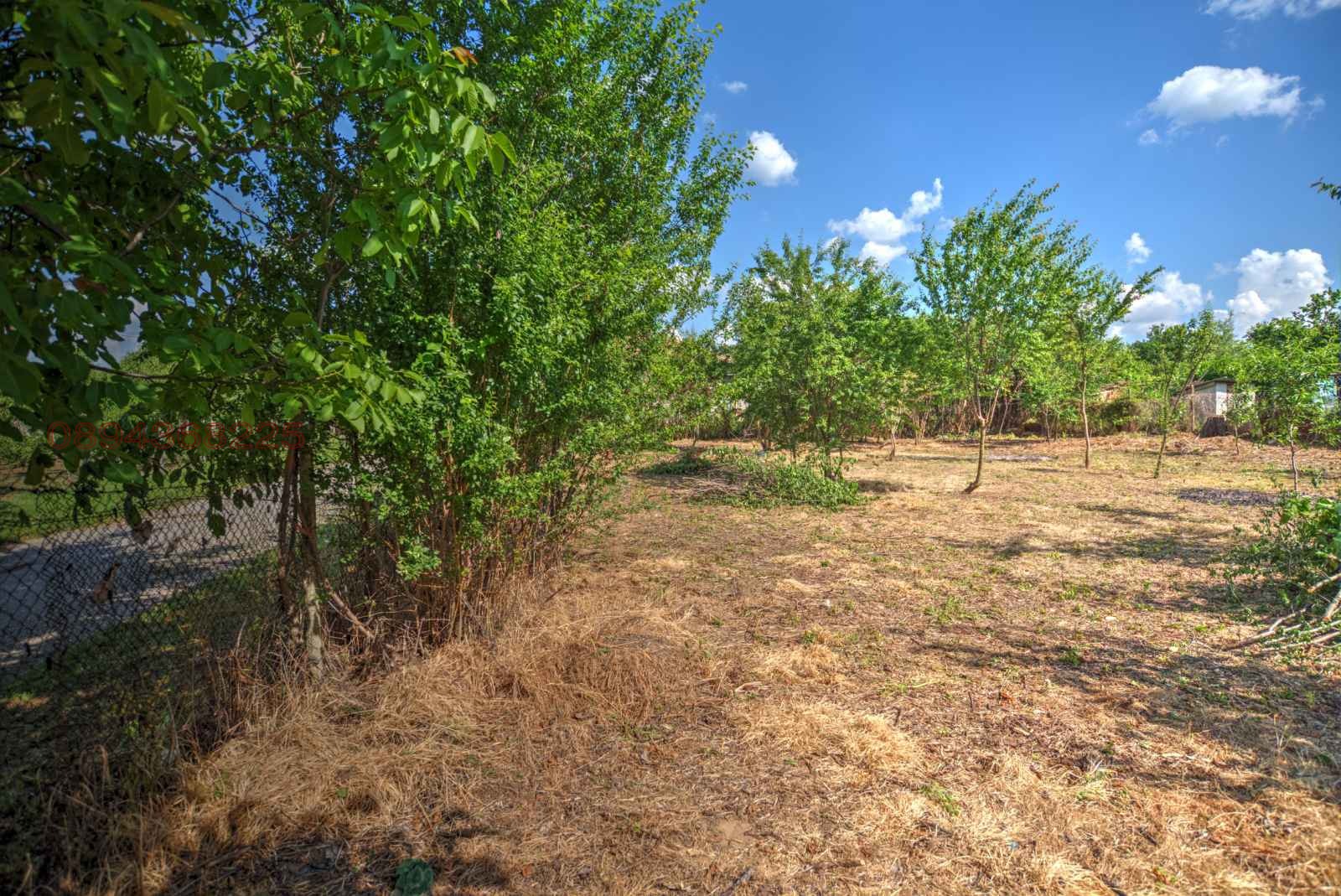 Продава ПАРЦЕЛ, гр. Борово, област Русе, снимка 5 - Парцели - 54168202