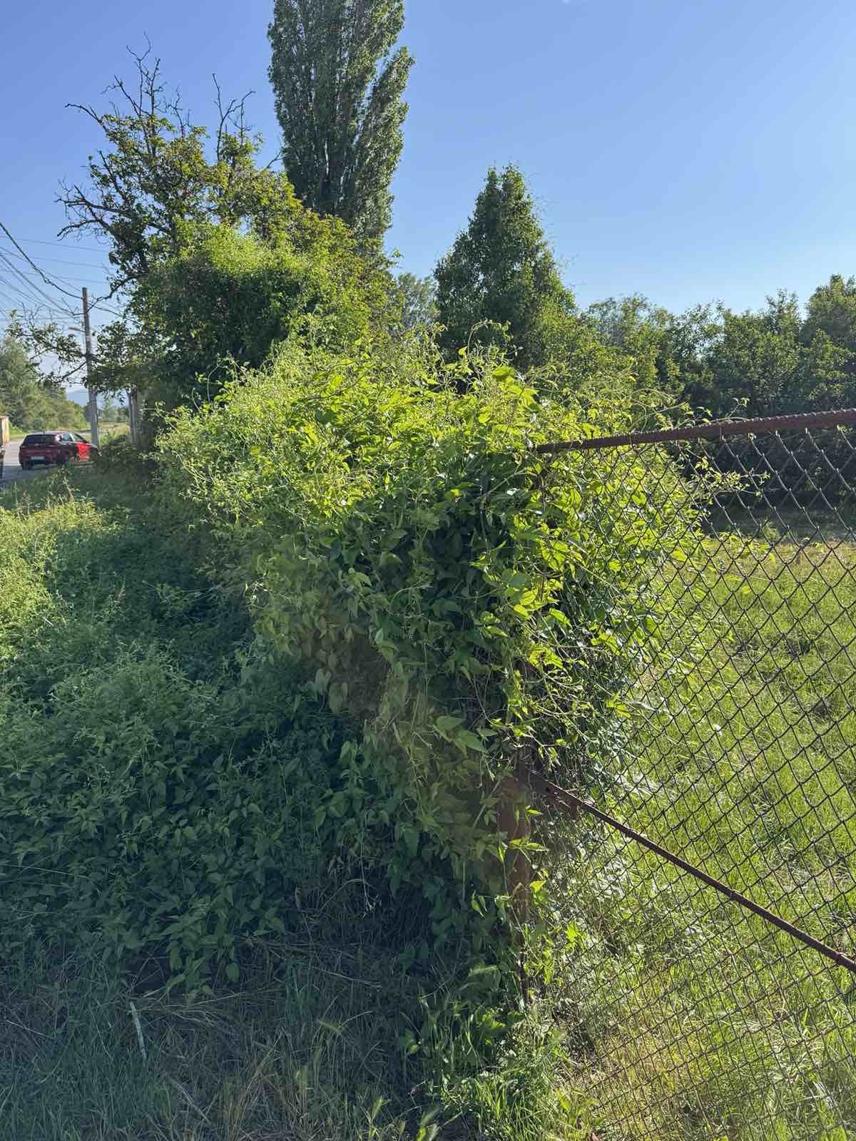 Продава ПАРЦЕЛ | Imot.bg — изображение 2