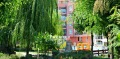 Продава  1-стаен област Бургас , к.к. Слънчев бряг , 36 кв.м | 99666666 - изображение [7]