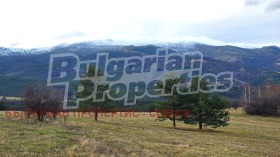 ПАРЦЕЛ, 1 499 m2