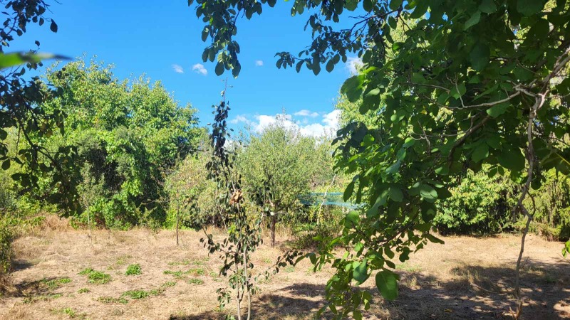 De vânzare  Complot regiunea Sofia , Stolnic , 1270 mp | 41434011 - imagine [5]