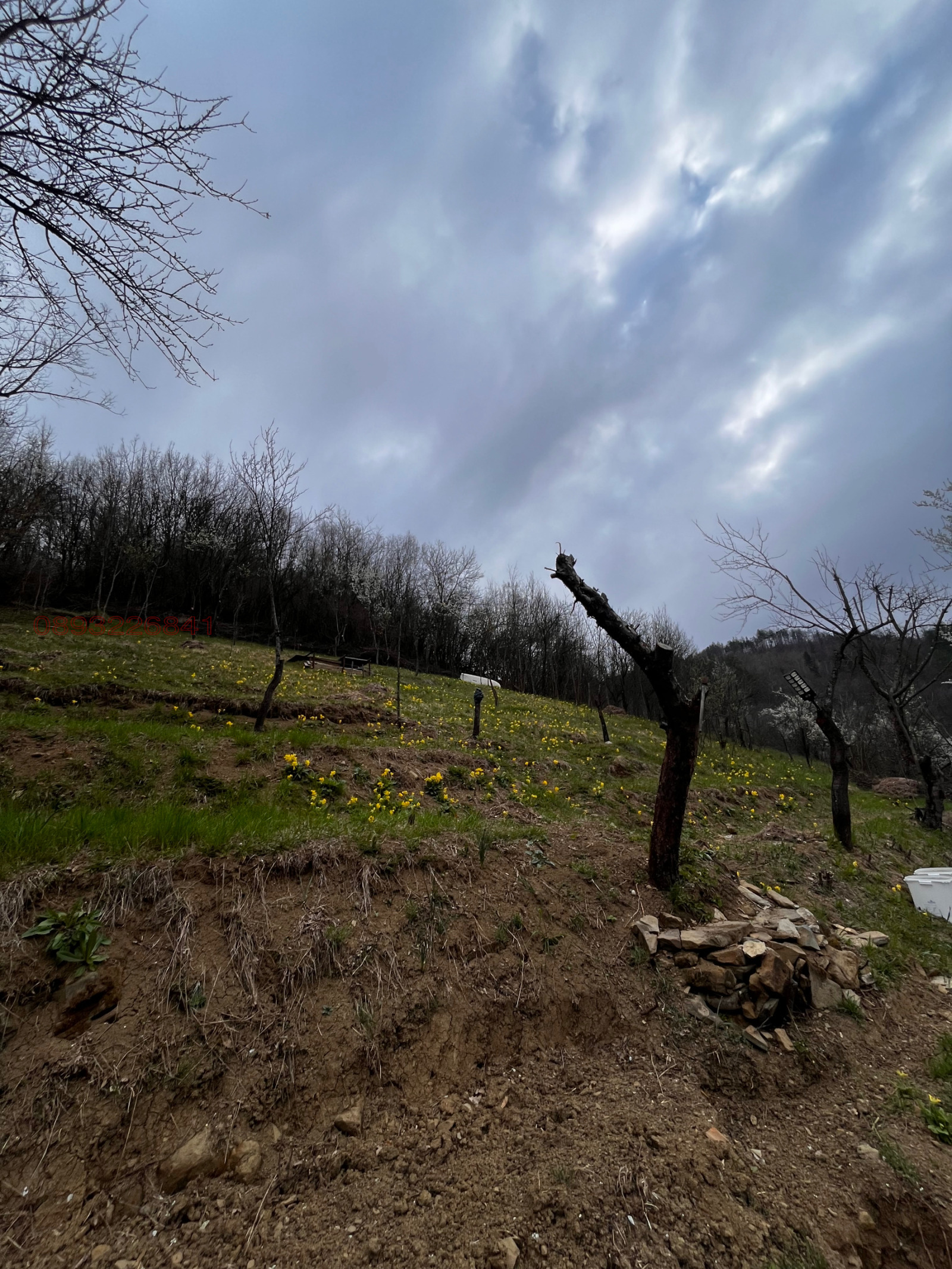 Продава КЪЩА, с. Голям извор, област Ловеч, снимка 2 - Къщи - 54180575