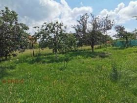 Обява Продава КЪЩА,град София, с. Волуяк
