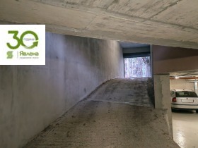 ����� ������� ����������,���� �����, ����� ���� ������