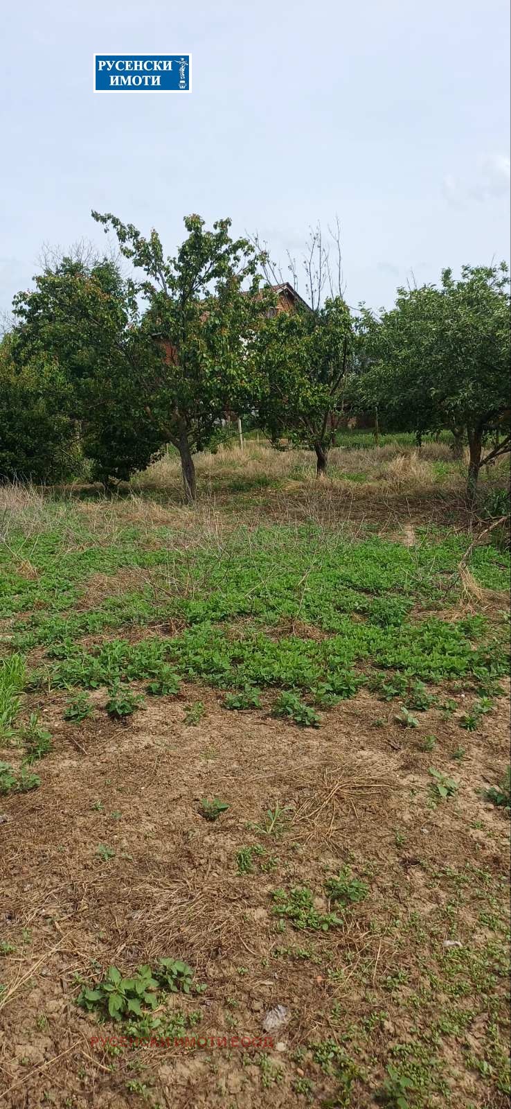 Продава КЪЩА, с. Бръшлен, област Русе, снимка 6 - Къщи - 54966216