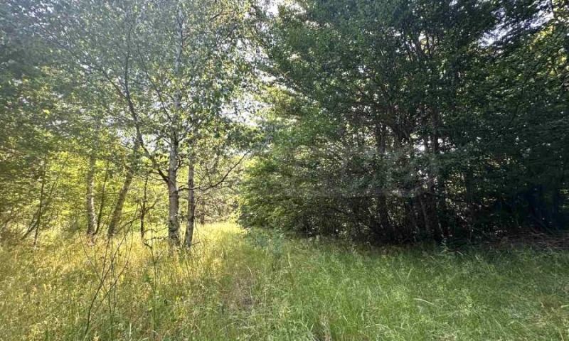 Na prodej  Spiknutí oblast Blagoevgrad , Razlog , 828 m2 | 39722215 - obraz [10]