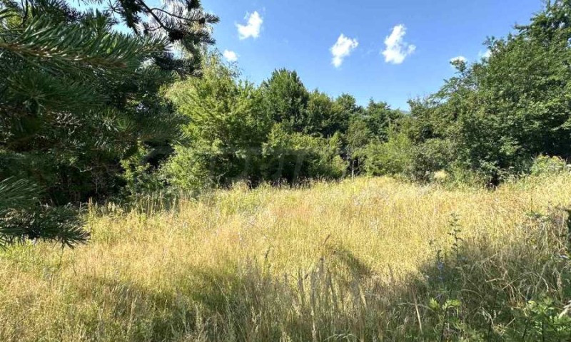 Na prodej  Spiknutí oblast Blagoevgrad , Razlog , 828 m2 | 39722215 - obraz [5]