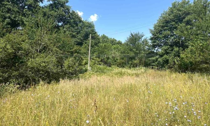 Na prodej  Spiknutí oblast Blagoevgrad , Razlog , 828 m2 | 39722215 - obraz [9]