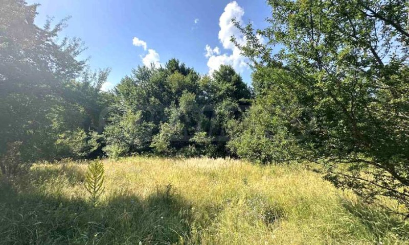 Na prodej  Spiknutí oblast Blagoevgrad , Razlog , 828 m2 | 39722215 - obraz [11]
