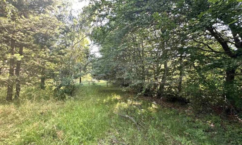 Na prodej  Spiknutí oblast Blagoevgrad , Razlog , 828 m2 | 39722215 - obraz [7]