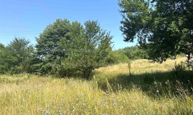 Na prodej  Spiknutí oblast Blagoevgrad , Razlog , 828 m2 | 39722215 - obraz [3]