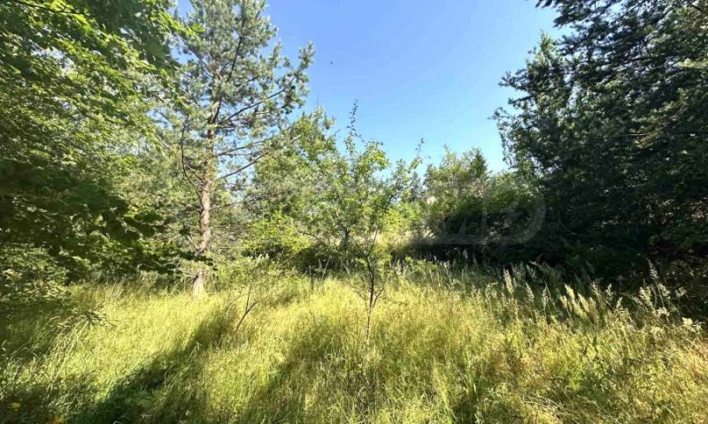 Na prodej  Spiknutí oblast Blagoevgrad , Razlog , 828 m2 | 39722215 - obraz [4]
