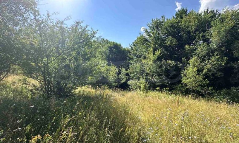 Na prodej  Spiknutí oblast Blagoevgrad , Razlog , 828 m2 | 39722215 - obraz [8]