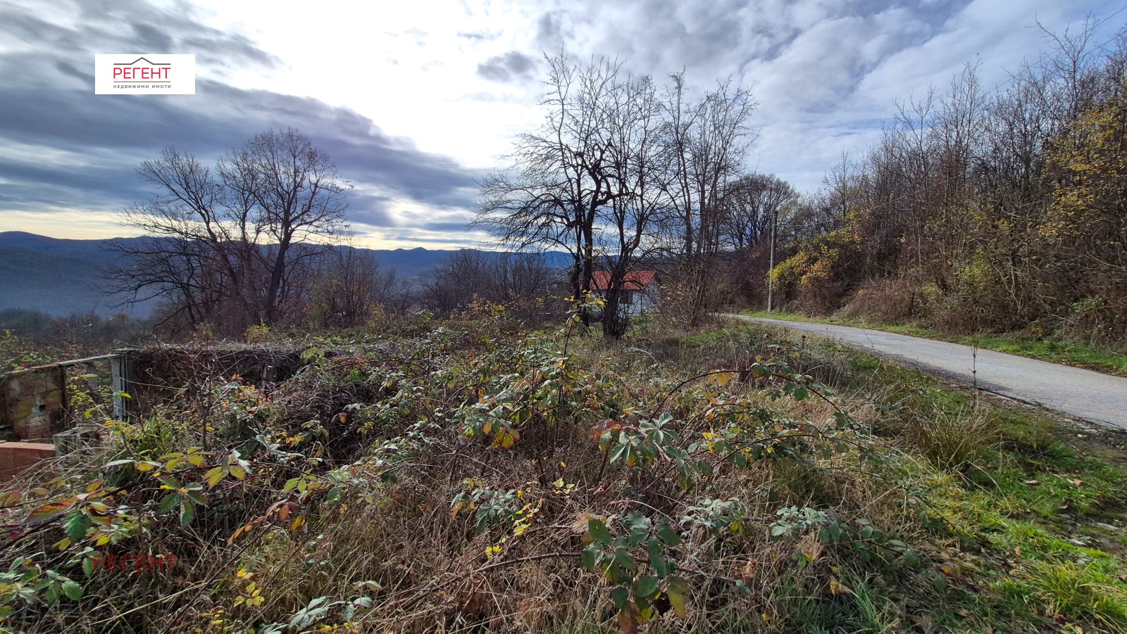 ������� ������ | Imot.bg � ����������� 8