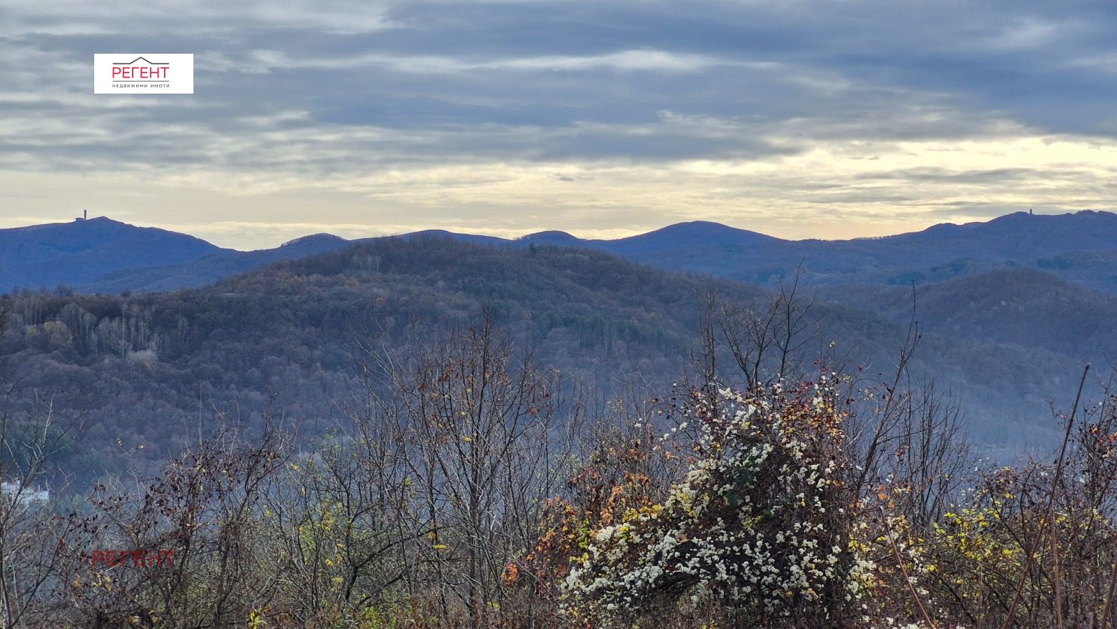 ������� ������ | Imot.bg � ����������� 3