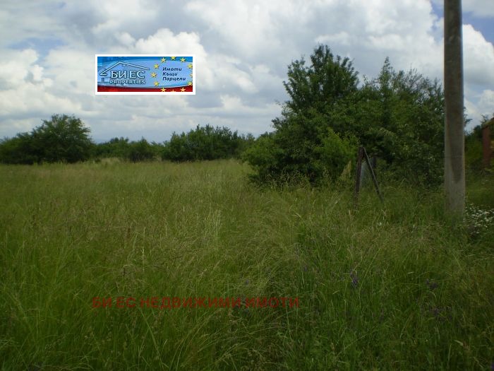 Продава ПАРЦЕЛ, с. Дебели лаг, област Перник, снимка 2 - Парцели - 53801313