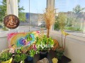 Продава 1-СТАЕН, град Шумен, Болницата • 145000 лв. • 15304388 — Holmes.bg