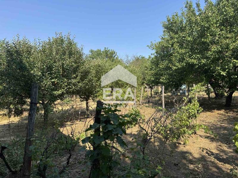 Продава  Къща област Силистра , с. Сребърна , 60 кв.м | 89554573 - изображение [9]