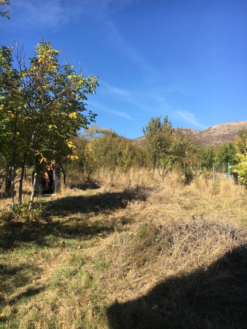 Продава КЪЩА, гр. Годеч, област София област, снимка 3 - Къщи - 52525706