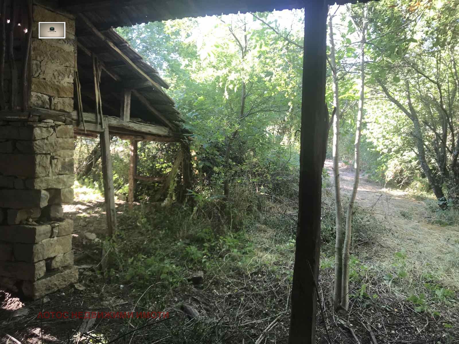 Продава КЪЩА, с. Ново село, област Велико Търново, снимка 2 - Къщи - 54169907