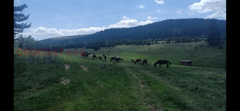 Продава ПАРЦЕЛ, с. Добростан, област Пловдив, снимка 2 - Парцели - 52783982