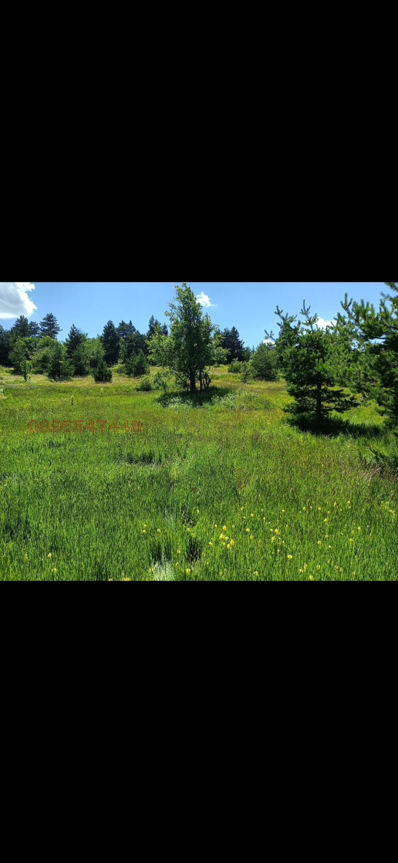 Продава ПАРЦЕЛ, с. Добростан, област Пловдив, снимка 3 - Парцели - 52783982