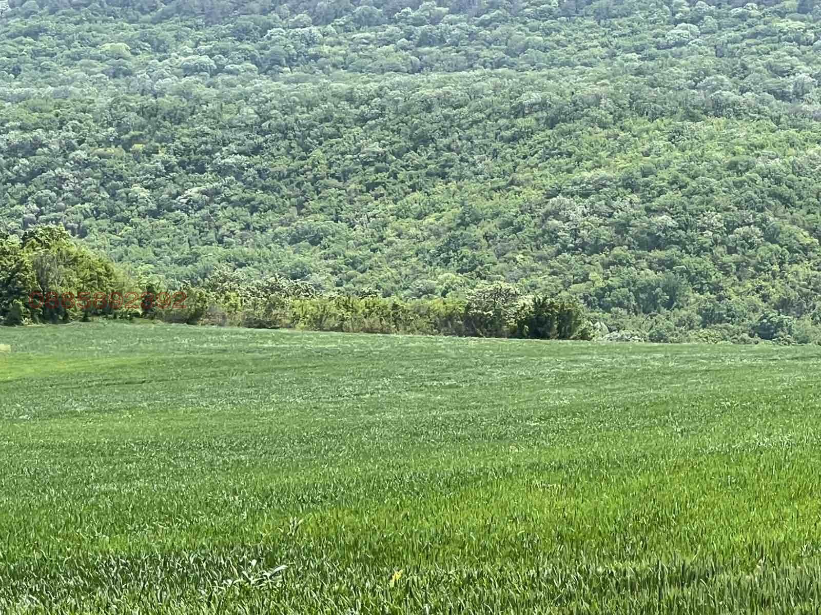 Продава ЗЕМЕДЕЛСКА ЗЕМЯ, с. Църква, област Добрич, снимка 10 - Земеделска земя - 55047593
