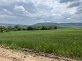 Продава ЗЕМЕДЕЛСКА ЗЕМЯ, с. Църква, област Добрич, снимка 8