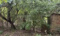 Продава КЪЩА, област Велико Търново, с. Равново • 33000 € / 64542.39 лв. • 69043826 5