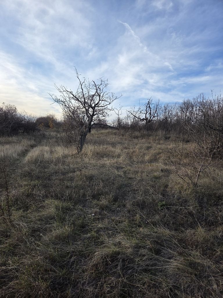 ������� ������ | Imot.bg � ����������� 8