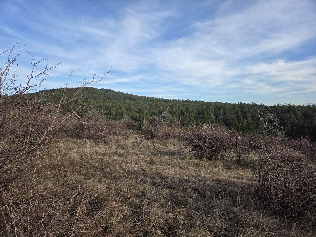 ������� ������ | Imot.bg � ����������� 5