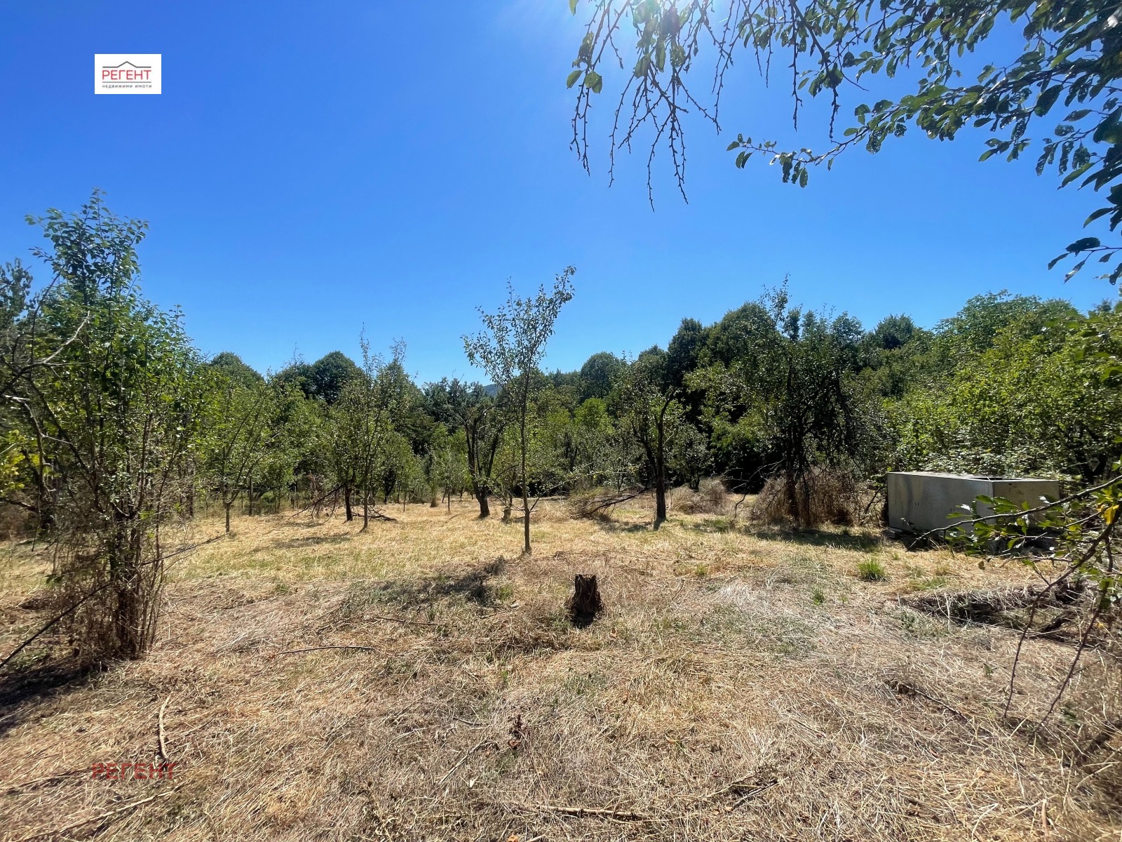 Продава ЗЕМЕДЕЛСКА ЗЕМЯ | Imot.bg — изображение 1