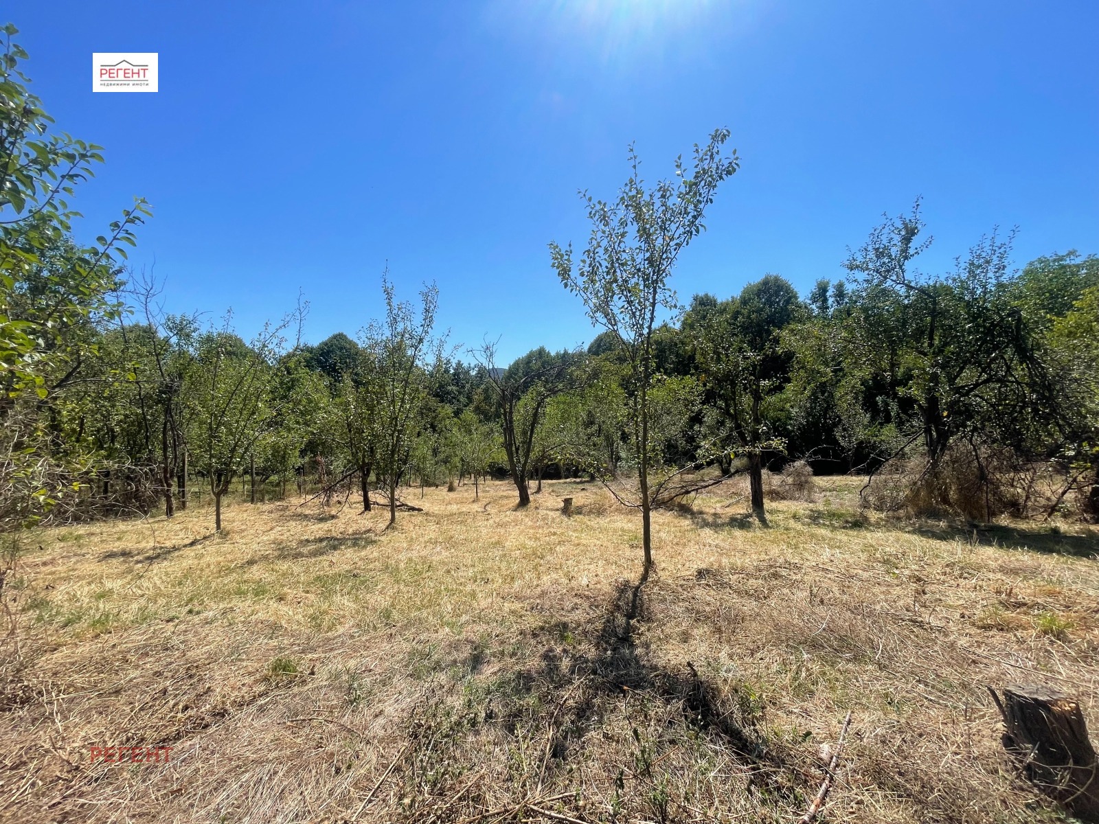 Продава ЗЕМЕДЕЛСКА ЗЕМЯ | Imot.bg — изображение 2