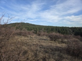 ������� ������ | Imot.bg � ����� ������ 5