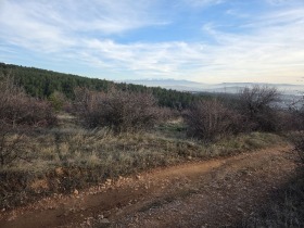 ������� ������ | Imot.bg � ����� ������ 7