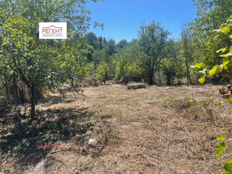 Til salgs  Land region Gabrovo , Popovtsi , 4 dka | 40402753 - bilde [3]