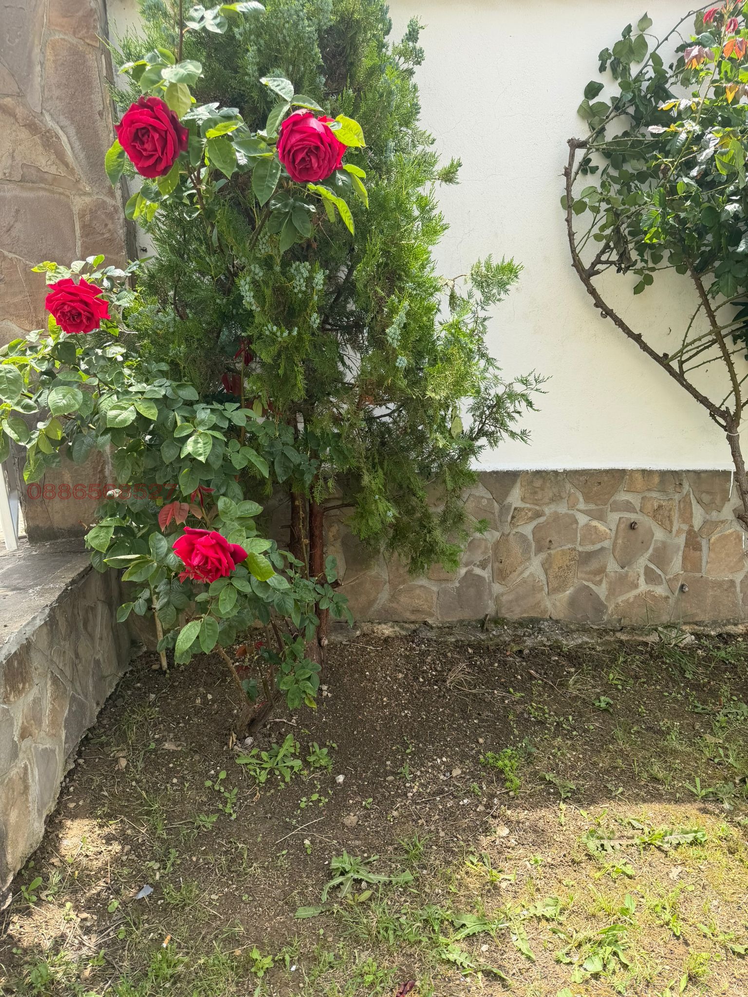 ������� ���� | Imot.bg � ����������� 17