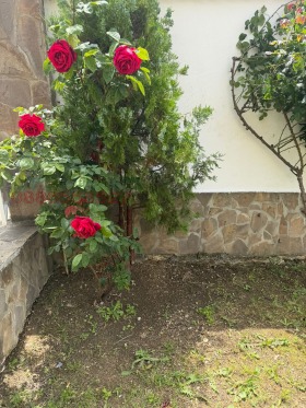 ������� ���� | Imot.bg � ����� ������ 17