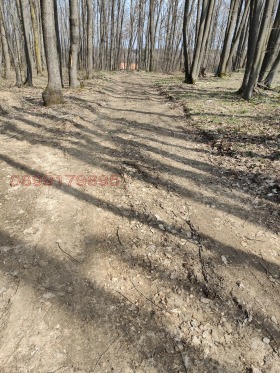 ������� ���� | Imot.bg � ����� ������ 9