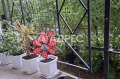 Продава  2-стаен град Монтана , Младост 1 , 64 кв.м | 69203068 - изображение [5]