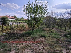 Продажба на имоти в с. Сърнево, област Стара Загора — страница 2 - изображение 5 