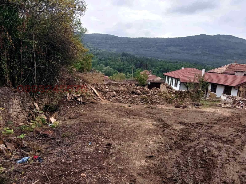 Продава ПАРЦЕЛ, с. Караиванца, област Габрово, снимка 3 - Парцели - 52785638