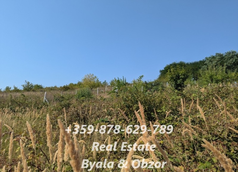 Продава  Парцел област Варна , гр. Бяла , 2800 кв.м | 56338719 - изображение [5]