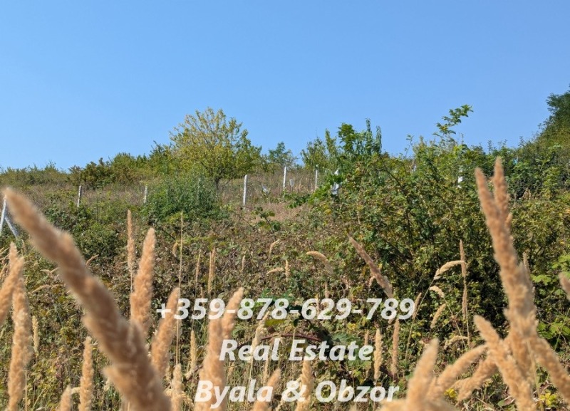 Продава  Парцел област Варна , гр. Бяла , 2800 кв.м | 56338719 - изображение [4]