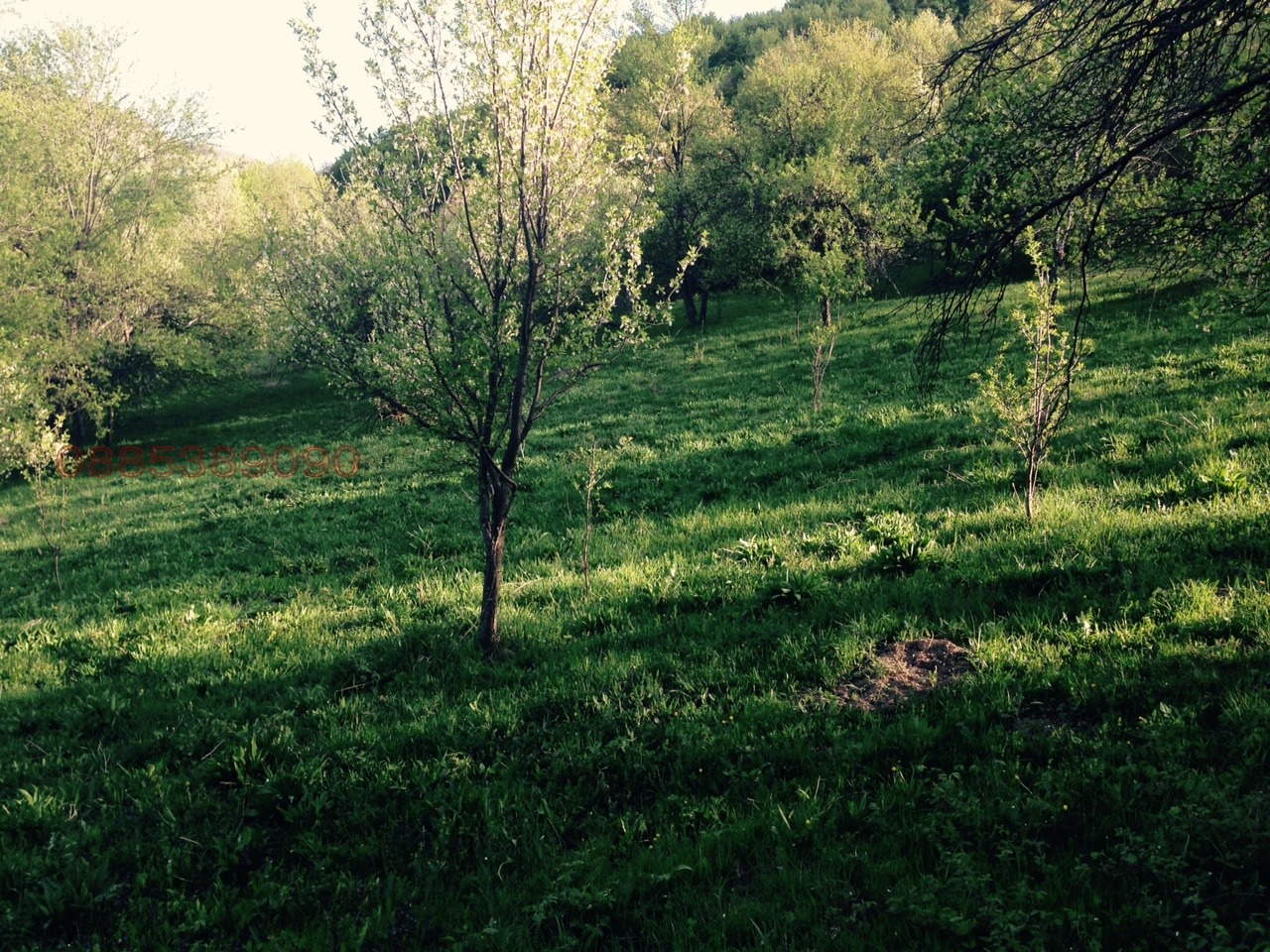 ������� ������ | Imot.bg � ����������� 1