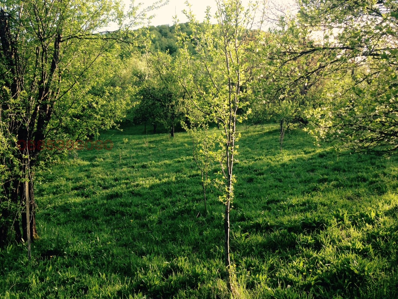 ������� ������ | Imot.bg � ����������� 3